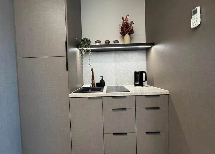 Panorama Level 25&26 S P A Z Wanną I Sauną * Katowice