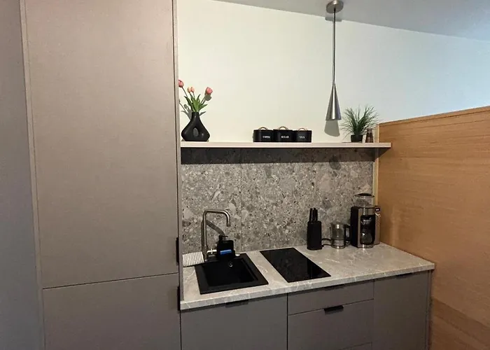 Panorama Level 25&26 S P A Z Wanną I Sauną * Katowice