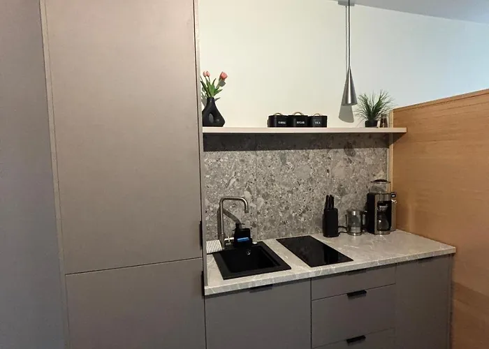 Panorama Level 25&26 S P A Z Wanną I Sauną * Katowice