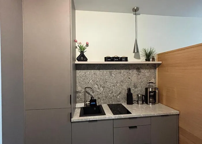 Panorama Level 25&26 S P A Z Wanną I Sauną Katowice